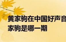 黄家驹在中国好声音里唱的歌 中国好声音黄家驹是哪一期 