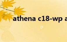 athena c18-wp athena是什么意思 