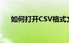 如何打开CSV格式文件？详细步骤解析