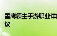 雪鹰领主手游职业详解：各职业特色与选择建议