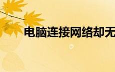 电脑连接网络却无法上网的解决方法