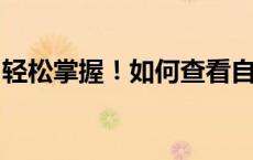 轻松掌握！如何查看自己的IP地址的详细步骤