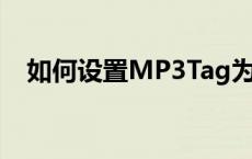 如何设置MP3Tag为中文界面及操作指南