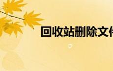 回收站删除文件恢复方法大全