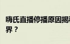 嗨氏直播停播原因揭秘：为何不再出现在直播界？