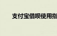 支付宝借呗使用指南：从入门到精通