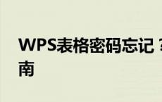 WPS表格密码忘记？解锁密码保护的方法指南