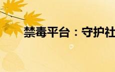 禁毒平台：守护社会安全的坚实壁垒