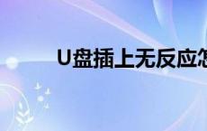 U盘插上无反应怎么办？解决指南