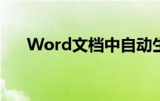 Word文档中自动生成目录的详细指南